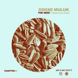 Osoxe Muluk - The Seed-Chapter 02 (Minimix DNB 2013)