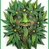 Seh den Wald vor lauter Baumrausch net - Mix