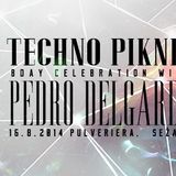 Mindwalk@ Techno piknik 16.8.2014 part2