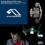 Andrew Bayer feat. Molly Bancroft - In And Out Of Your Secrets (showHan & Shaokao Mashup)