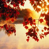 The sun in September