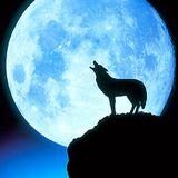 Dj Alen D. - Moonbeats