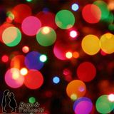 A Christmas Card from Bigo & Twigetti