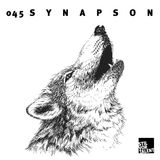 SVT–Podcast045 – Synapson