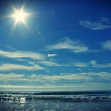 Summer Sunshine Mix