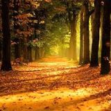 Jetson - Autumn 2014 Promo Mix