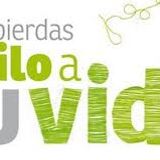 El Suicidio, Prevención