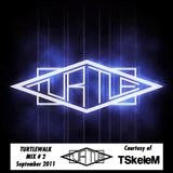 The Turtle Walk Mix #2 - TSkeleM