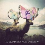 dj quadrro - acid delivery