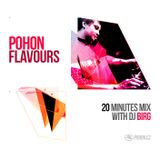 Birg - Pohon Flavours - March 2015
