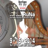 Opening Event 20140915 At DeepSense