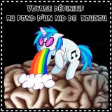 Voyage définitif au fond d'un nid de Coucou