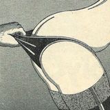 Amateurisme #11- NSFW/RNB