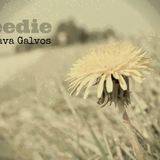 #349: Weedie / Tep Sava Galvos