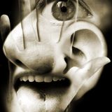 Heightened Senses