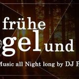 Der frühe Vogel und so_Live at 4 Akt_14.11.15_01