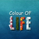 Love.... RJ Sajjad Kazmi - 29th jan 2015 - AMZFM