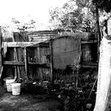 Down in the ghetto - Reality roots