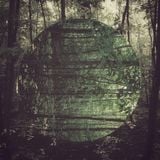 DMTTH 0007 - Bosques de Latinoamerica