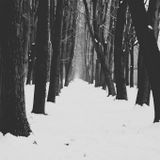 Dark Days and Crystal Nights / HAUSFRAU mix for UNKNOWN PLEASURES RECORDS / December 2014