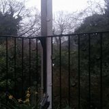 rainy mix