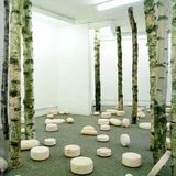 I Am Going Into The Birch Forest As My Pills Will Be Taking Effect Soon