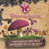 Dillon Francis @ Mad Decent Stage, TomorrowWorld, United States 2014-09-27