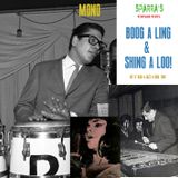 Boog A Ling & Shing A Loo!