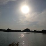 Summer Sounds
