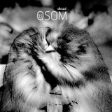 13#osom
