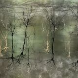 Synaptic Research