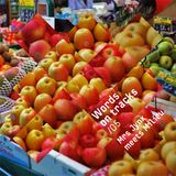 Words On Tracks /05 Mrs. Jynx meets Milieu