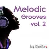 Melodic Grooves vol. 2