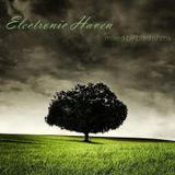 Electronic Haven episode 8