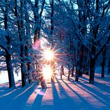 Winter Sun