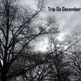 Trip On December