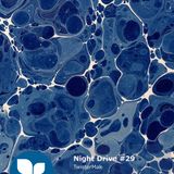 Night Drive #29