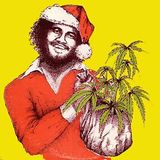 Reggae Christmas Time 2013