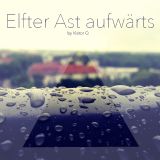 Elfter Ast Aufwärts