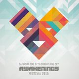 Joseph Capriati live @ Awakenings Festival 2015 (Spaarnwoude, The Netherlands) – 27.06.2015