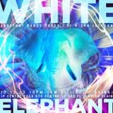 White Elephant