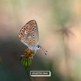 Eclectic Soul 28 w/ JeanJass, Guts, MC Solaar, Knxwledge, Cootie Williams and more