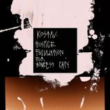 Kostav - Hospice Foundation for Homeless Cats / June'15 Podcast