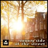 Sunny Side Of The Street (Eclectic Potpourri Edit)