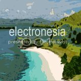 Electronesia 001 with Electronivist