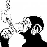 Intelligent Apes#5
