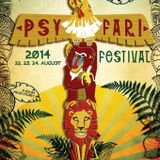 The Bassix - Psyfari 2014