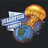 Daniel from Mindil Beach Markets on Keloha, Sunshine Coast, and the Jellyfish Project