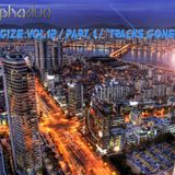 Alpha Duo - Energize Vol.12 Part.1 "Tracks Gone By"