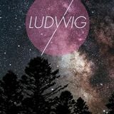 Ludwig set #1